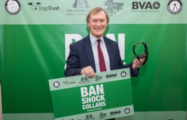 Ban on Electric Shock Collars